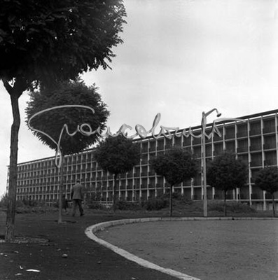 Economic dwelling units. Milan, 1956